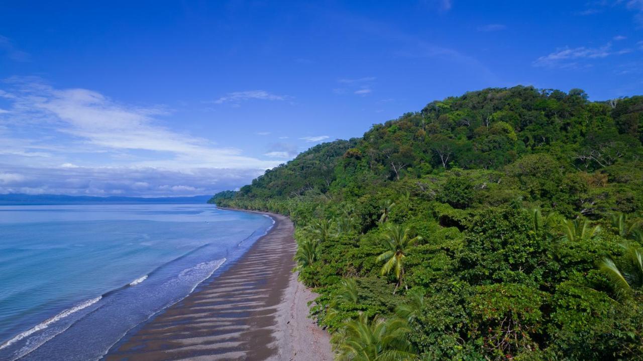 Piedras Blancas Dolphin Quest Costa Rica 빌라 외부 사진