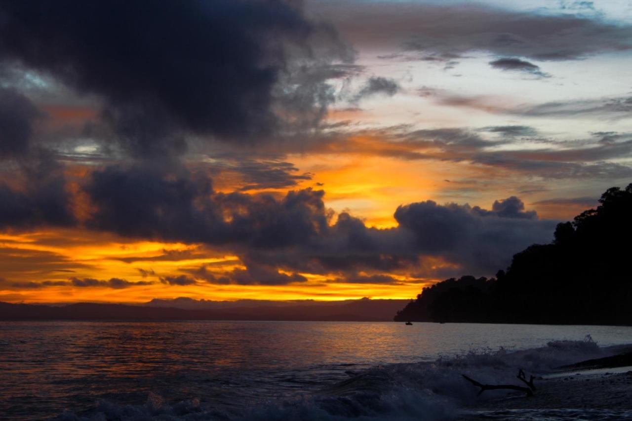 Piedras Blancas Dolphin Quest Costa Rica 빌라 외부 사진